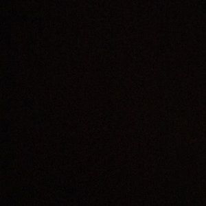 Meet your Posher, Riley